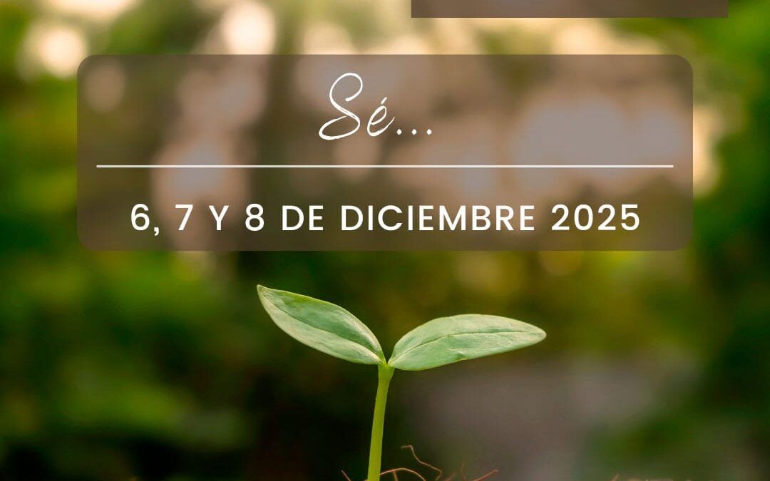 Encuentro Sé – Diciembre 2025