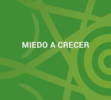 Miedo A Crecer Junio 2025 Grupo De Cambio Miedo A Crecer Junio 2025 Grupo De Cambio