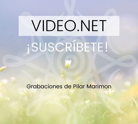 Imagen Destacada Videonet Def