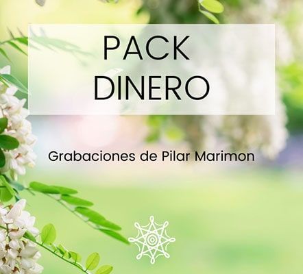 PACK DINERO – PACKS TEMÁTICOS
