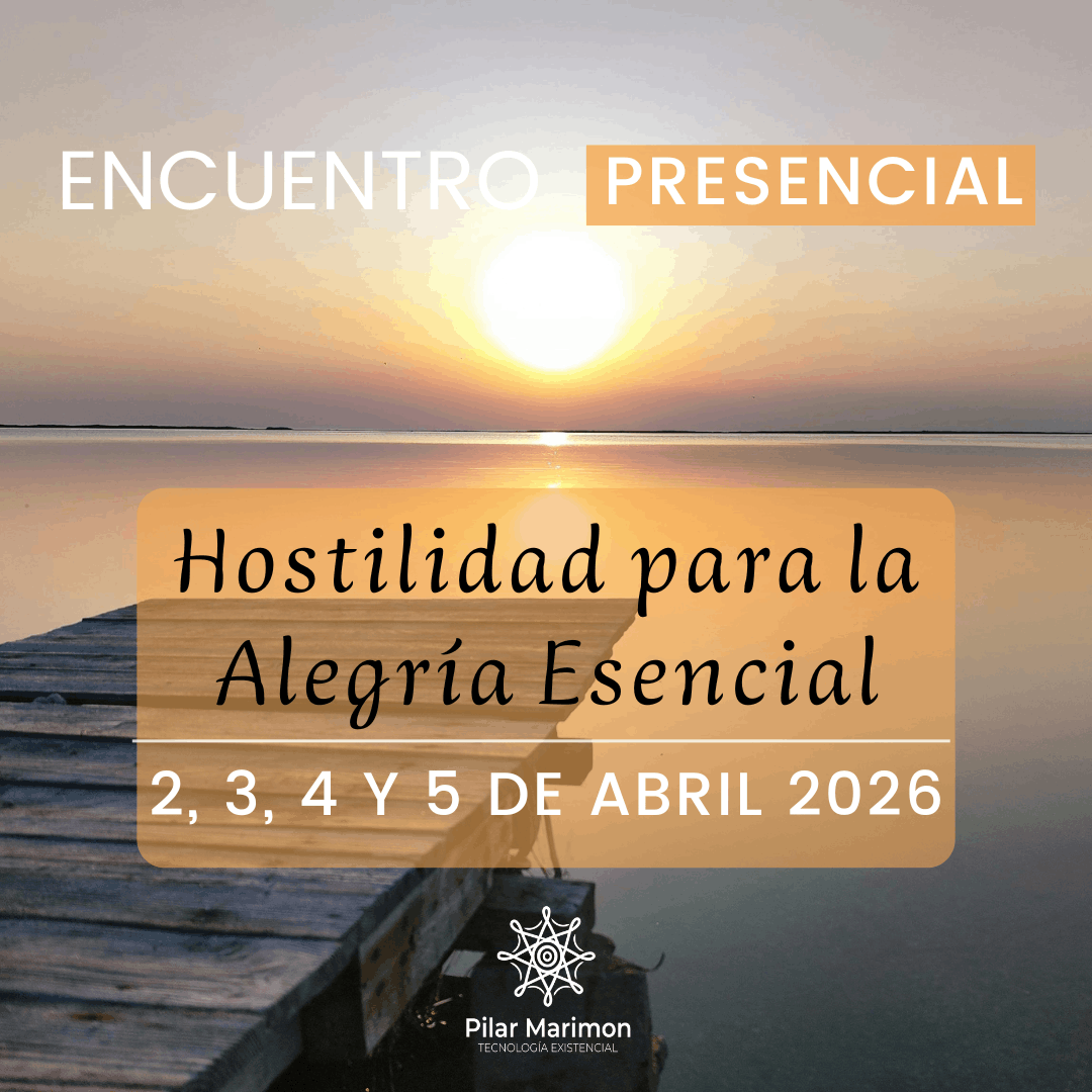 Encuentro Presencial Abril Pilar Marimon Hostilidad Para La Alegría Esencial