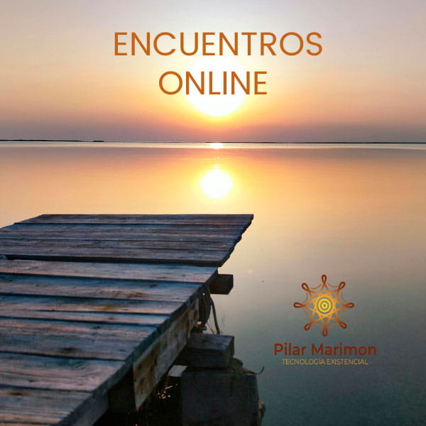 Encuentros Online Pilar Marimon N26