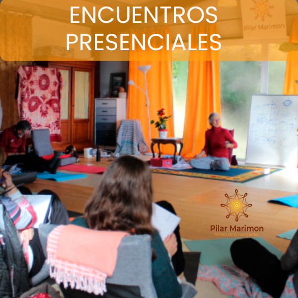 Encuentros Presenciales Pilar Marimon N26