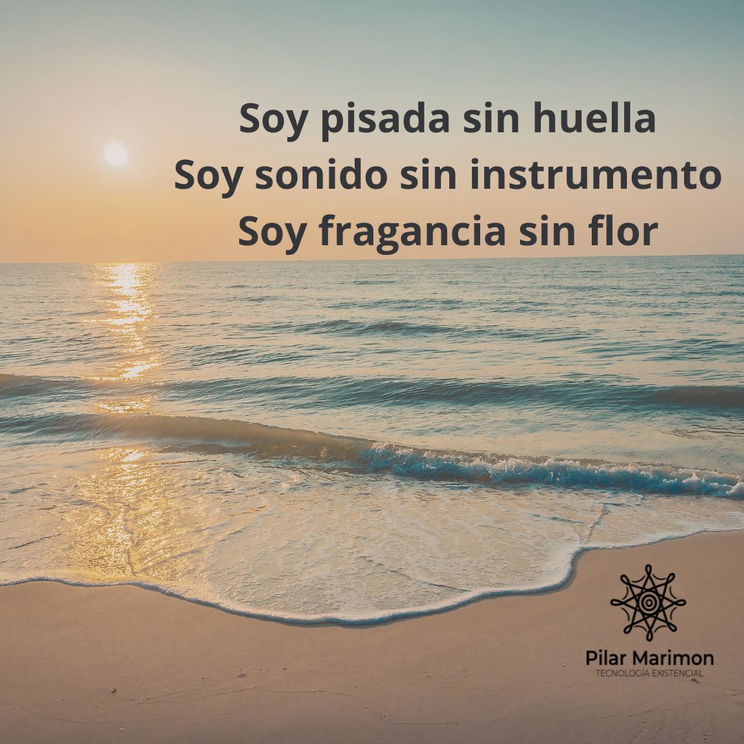 Sin Causa Sin Efecto Pilar Marimon Sin Causa Sin Efecto Pilar Marimon