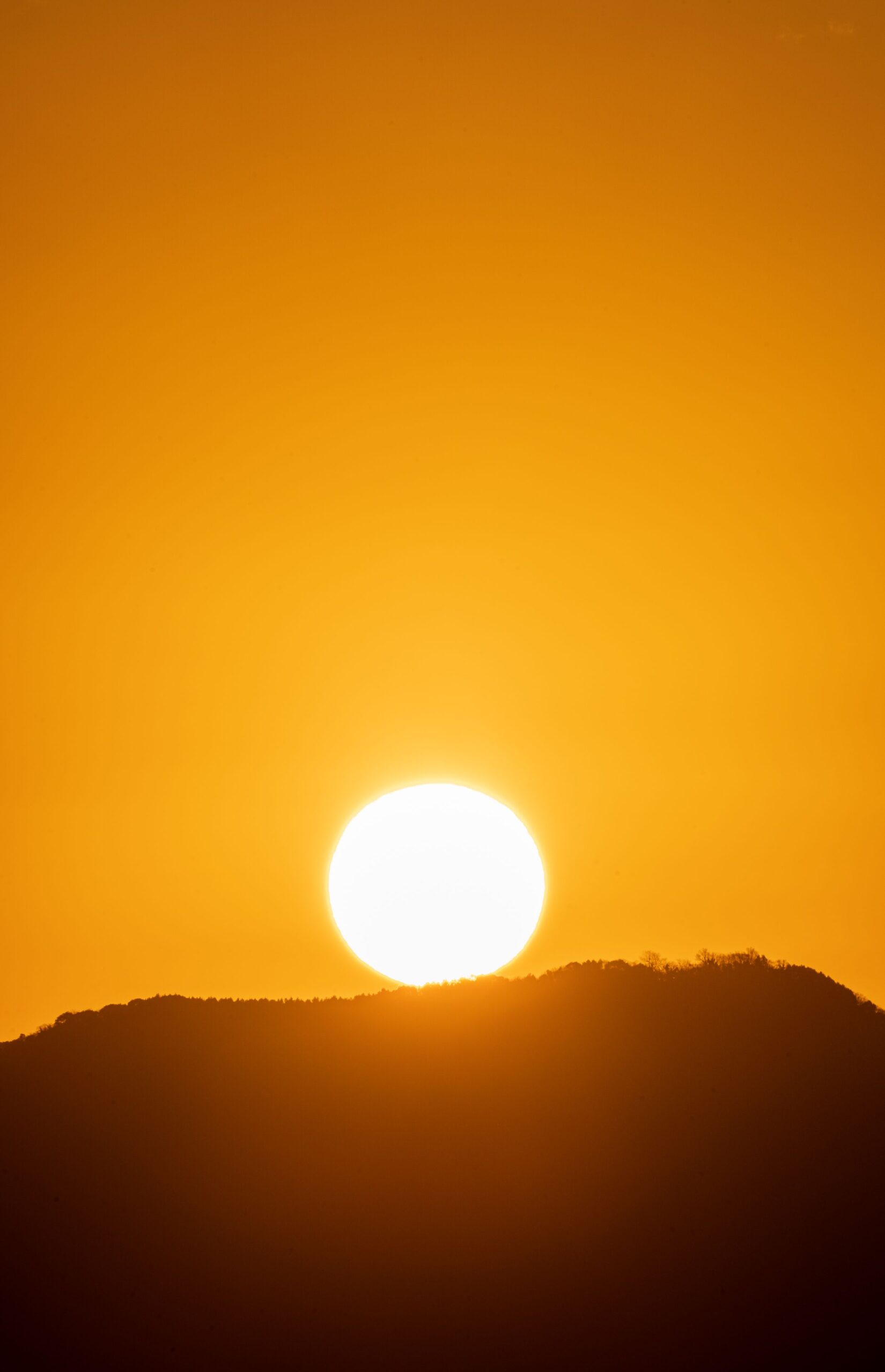 Sol Pilar Marimon