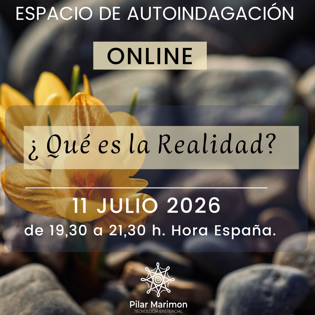 Espacio De Autoindagacion Pilar Marimon Julio