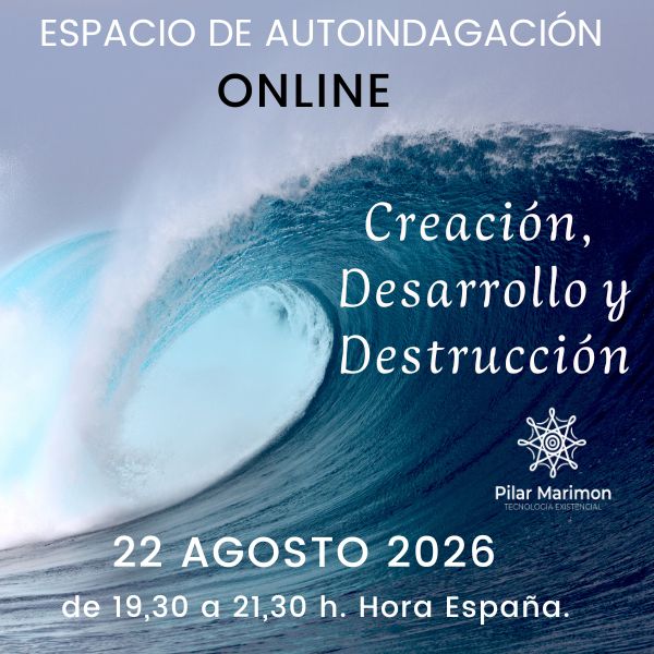 Creación Desarrollo Destruccion Online Pilar Marimon