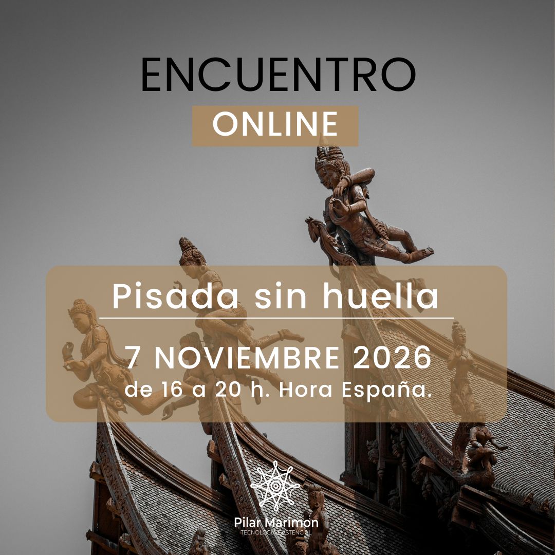 Pisada Sin Huellas Pilar Marimon